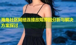 海角社区网络连接故障原因分析与解决方案探讨