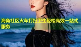 海角社区火车打扫卫生轻松高效一站式服务
