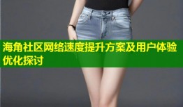 海角社区网络速度提升方案及用户体验优化探讨