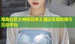 海角社区大神探花老王酒店实用攻略与互动平台