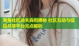 海角社区消失真相揭秘 社区互动与信息共享平台亮点解析
