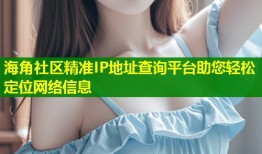海角社区精准IP地址查询平台助您轻松定位网络信息