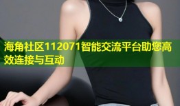 海角社区112071智能交流平台助您高效连接与互动