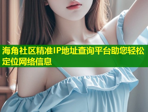 海角社区精准IP地址查询平台助您轻松定位网络信息