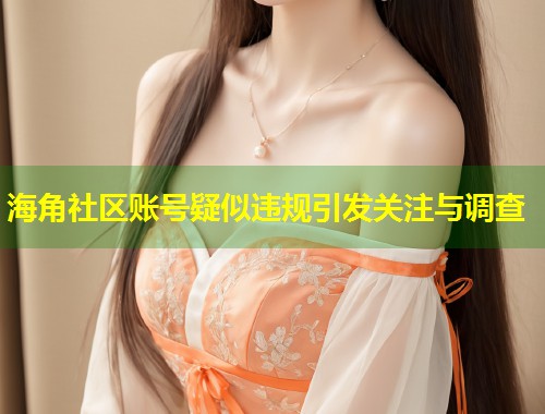 海角社区账号疑似违规引发关注与调查