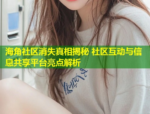 海角社区消失真相揭秘 社区互动与信息共享平台亮点解析